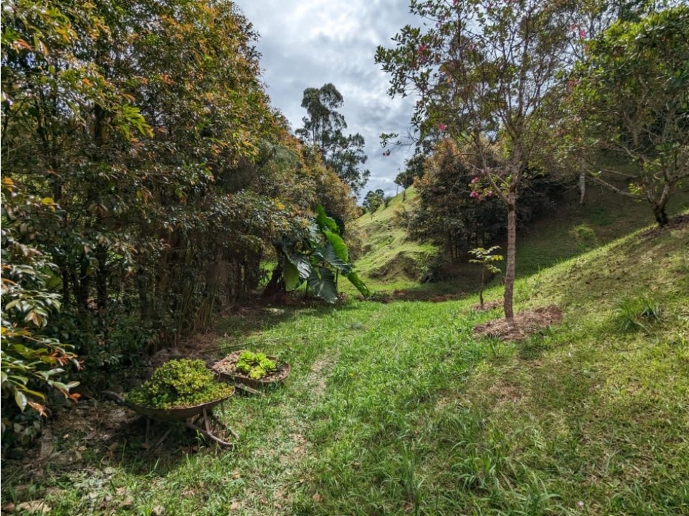 122. Lote en parcelación cerrada. Rionegro, Oriente Ant.