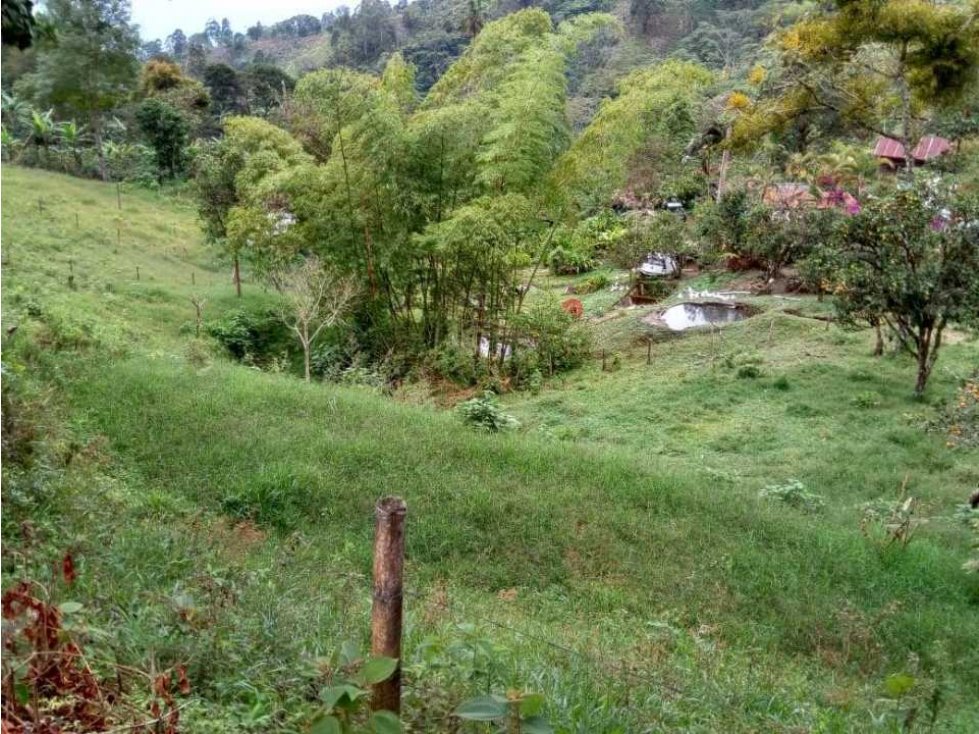 Finca en venta en Calarca 4707