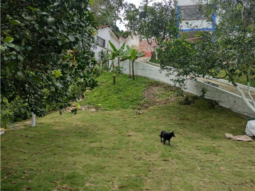 Finca En La Entrada De La Mesa Con Árboles Frutales