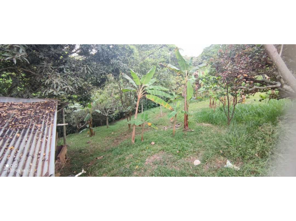 FINCA EN VENTA CALOTO CAUCA