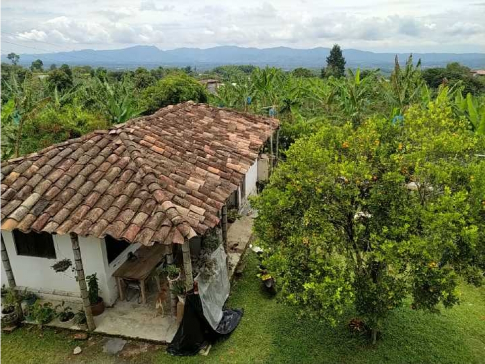 Finca en venta en Alcalá valle  filandia Quindío