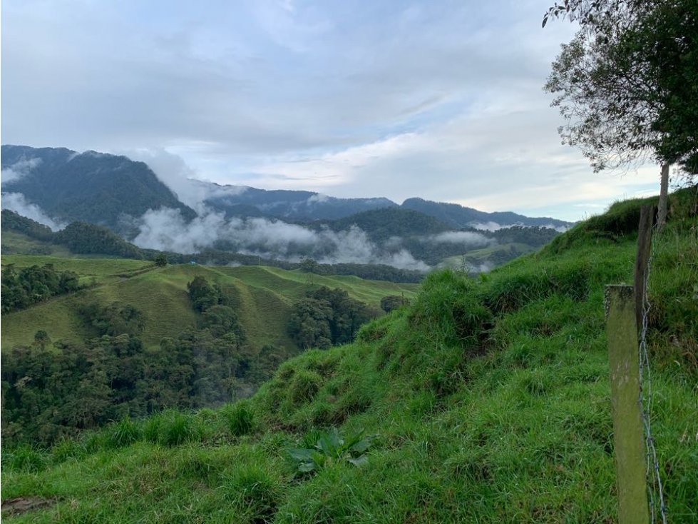 Finca Lote Gallinazo Villamaria Caldas Manizales