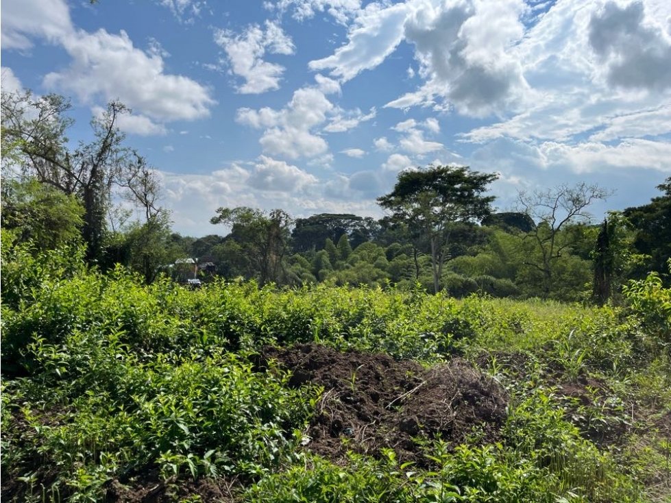 FINCA PEQUEÑA SIN CASA