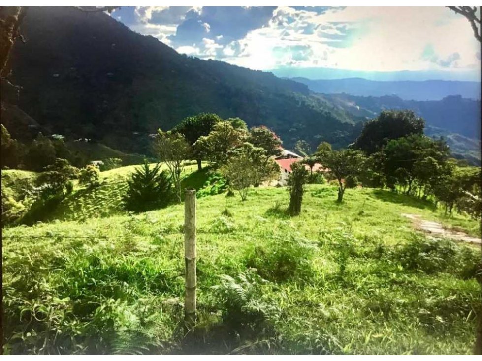Finca productiva en Pijao, Quindío