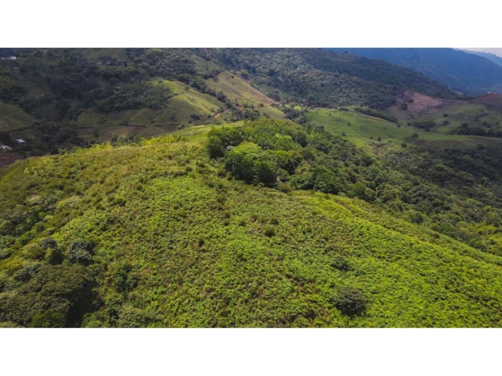 La Buitrera Lote terreno para parcelar en venta Palmira Valle Colombia