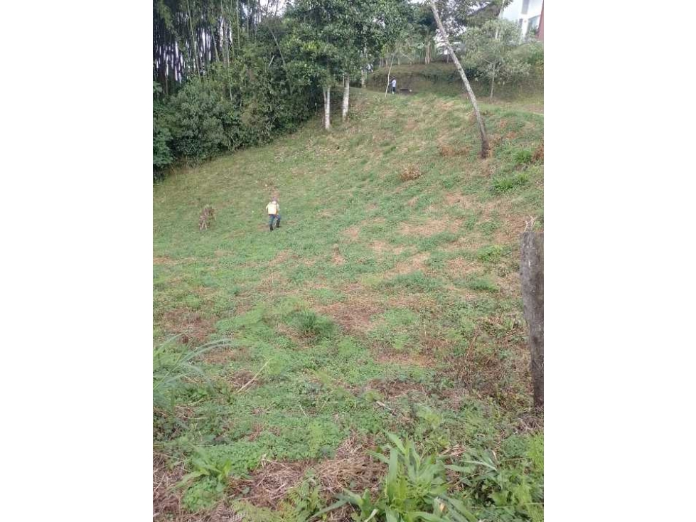 VENDO LOTE CAMPRESTRE (CIRCASIA, QUINDIO)