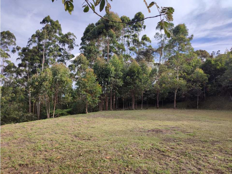 Lote en venta Rionegro llano grande - Aeropuerto LC