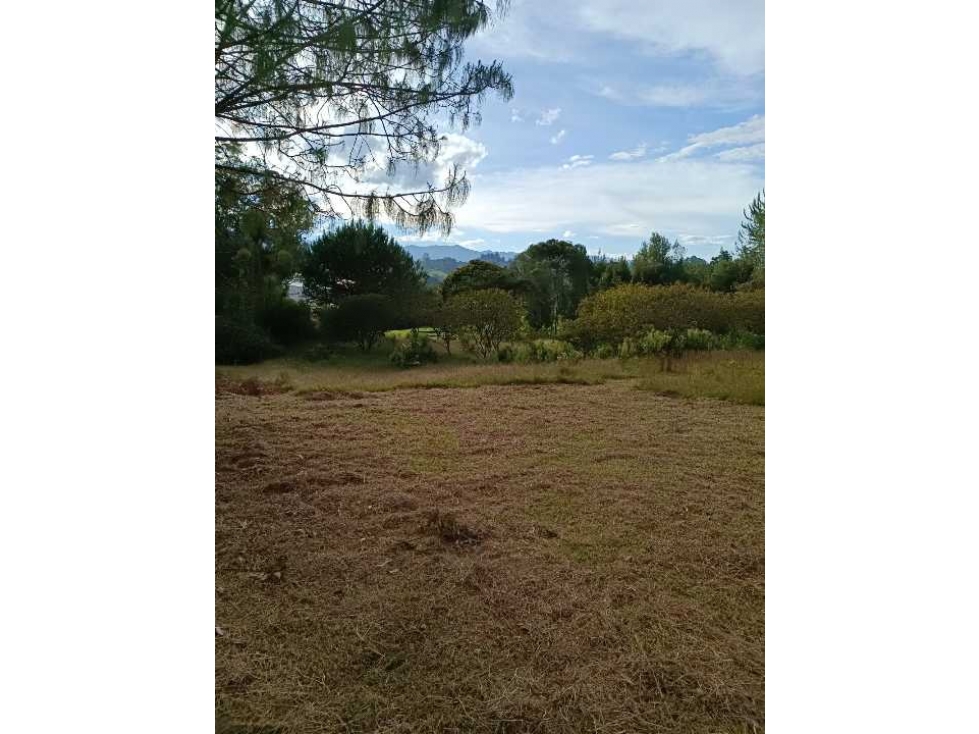 Venta de lote en pontezuela Rionegro Antioquia