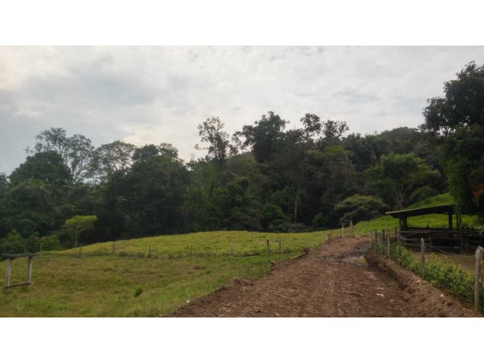 Maat Vende lote en vereda Ucrania-La Vega, 1.400m2 $240 Millones