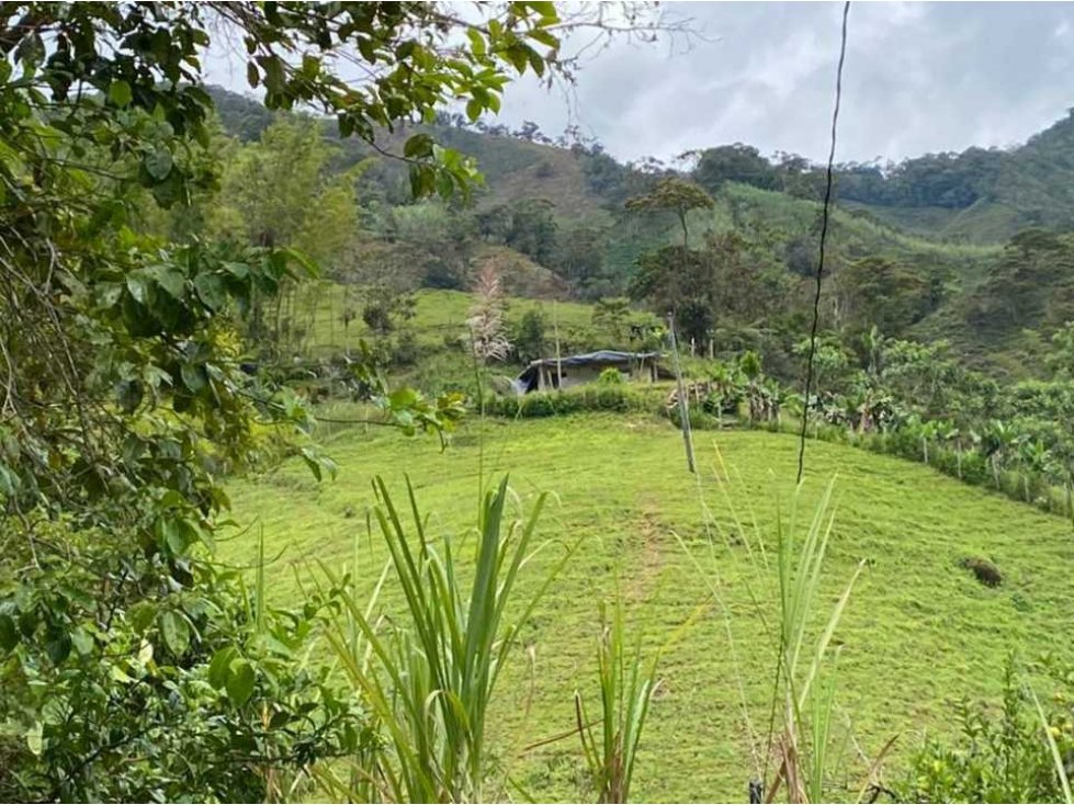 Se vende finca en Granada