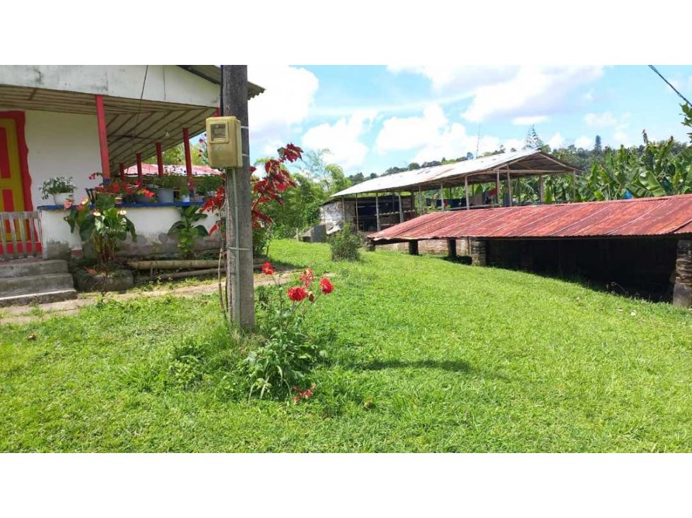 Se vende finca en Quimbaya Quindío