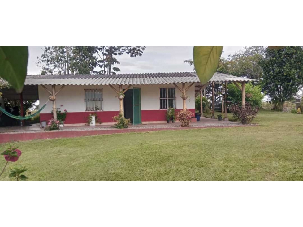 SE VENDE FINCA ENTRE CIRCASIA Y MONTENEGRO QUINDIO