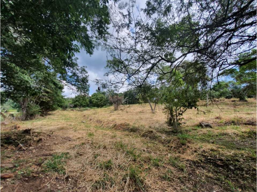 Se vende lote de 10000 M2 a 12 min de La Mesa Cundinamarca colombia