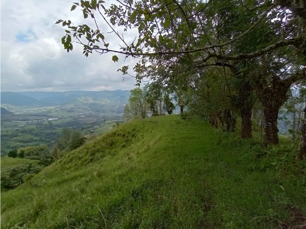 VENDO FINCA EN LA FLORIDA PEREIRA