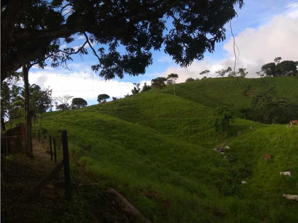 VENDO FINCA EN SAN CARLOS ¡BAJÓ PRECIO!