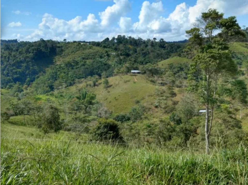 VENDO FINCA EN VEGACHÍ NORDESTE ANTIOQUIA !