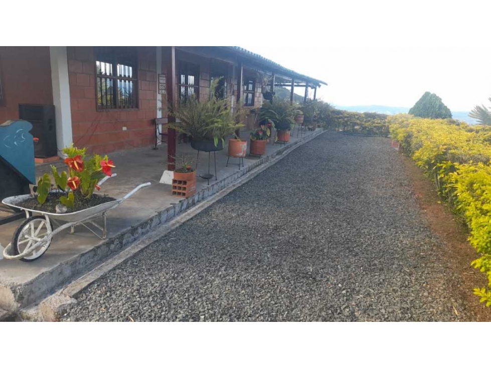 Vendo  finca externa con hermosa vista kilómetro 30