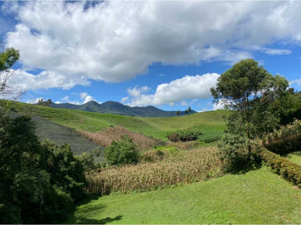 VENDO LOTE EN EL CARMEN DE VIBORAL, VEREDA QUIRAMA