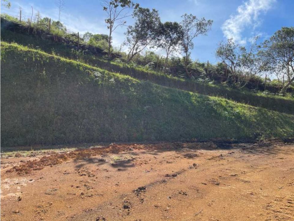 Vendo lote en guarne vereda La clarita