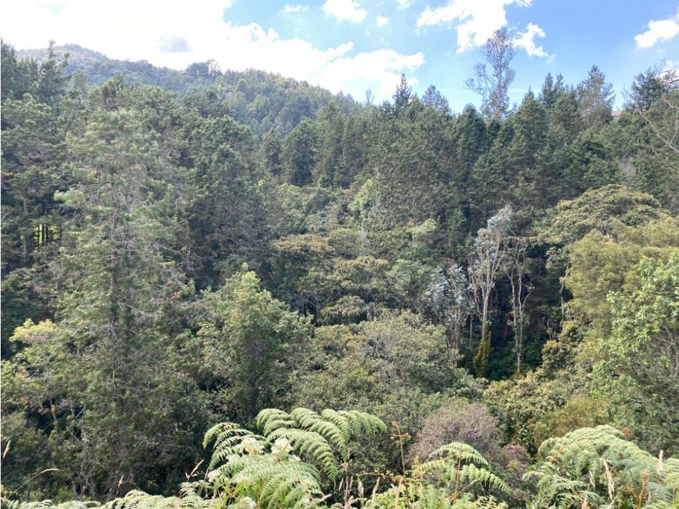 VENDO LOTE UNIDAD CERRADA, SIN REGISTRO VISTA ABIERTA A BOSQUE NATIVO