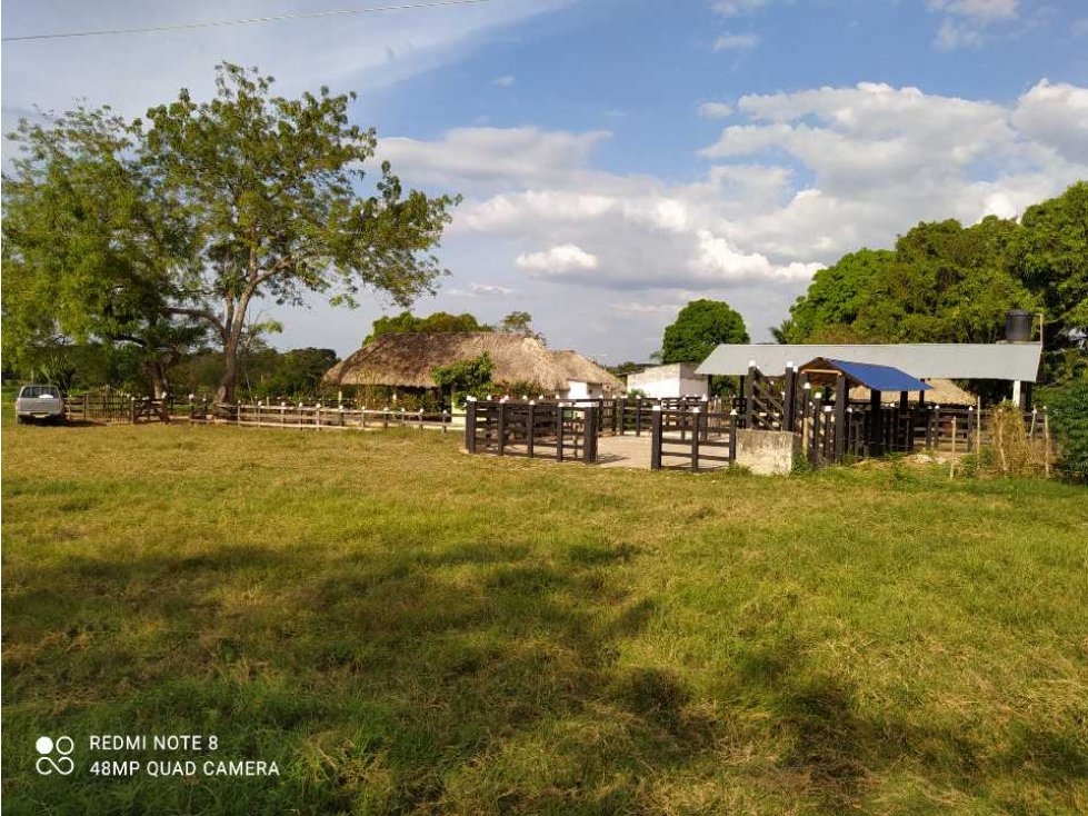 VENTA DE FINCA EN CARRIZAL, MONTERÍA