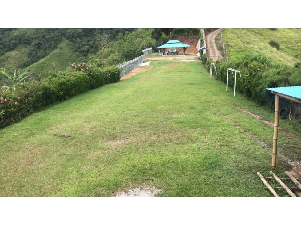 Venta de finca en el chaquiro Dosquebradas