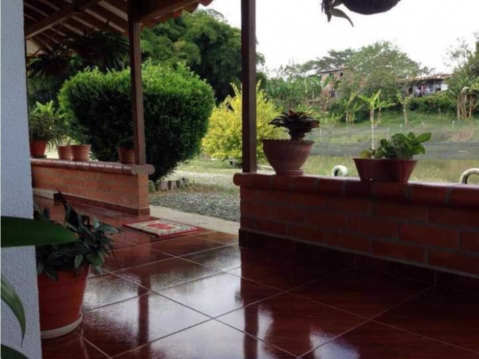 VENTA DE FINCA VITERBO CALDAS