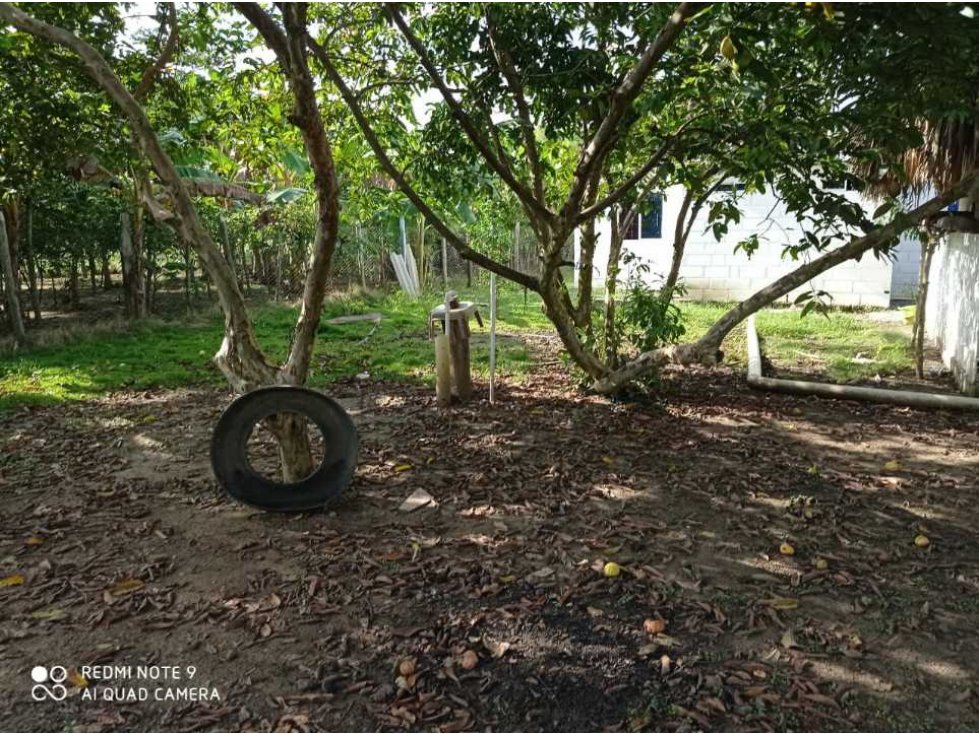 Venta  casa campestre en la pozona aguas negras,monteria