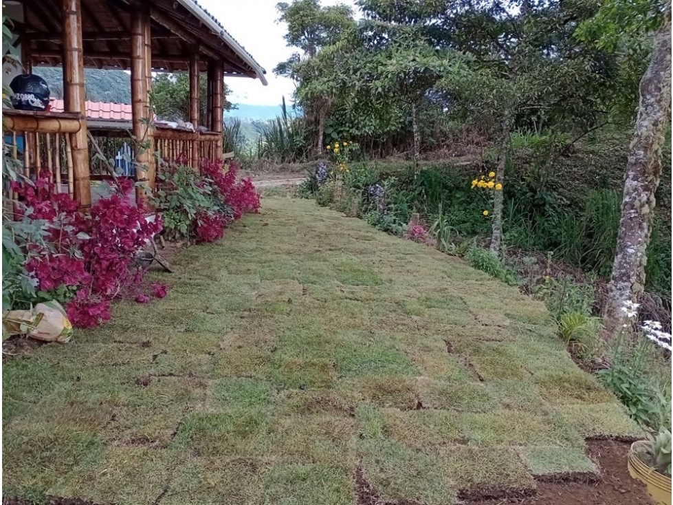 VENTA FINCA - BUENAVISTA