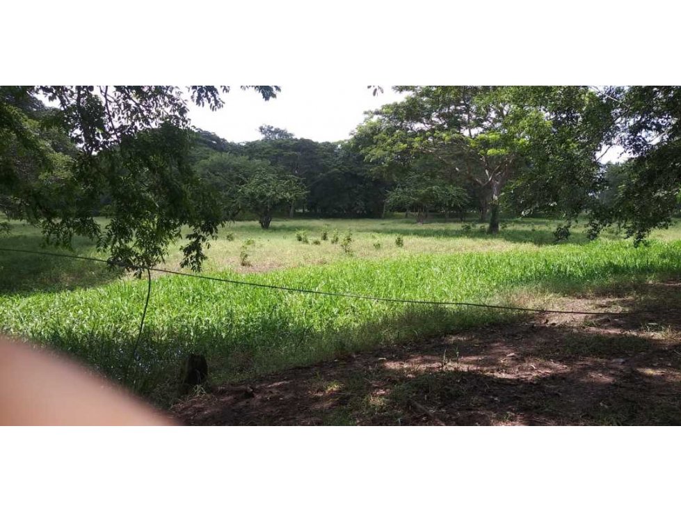 Venta Finca en Momil Cordoba