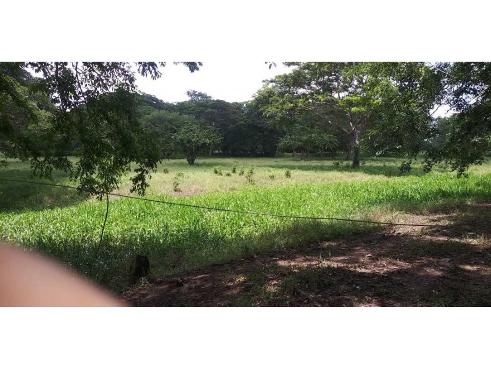 Venta Finca en Momil Cordoba