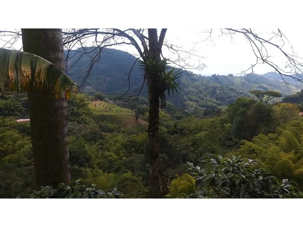 VENTA FINCA EN PEREIRA