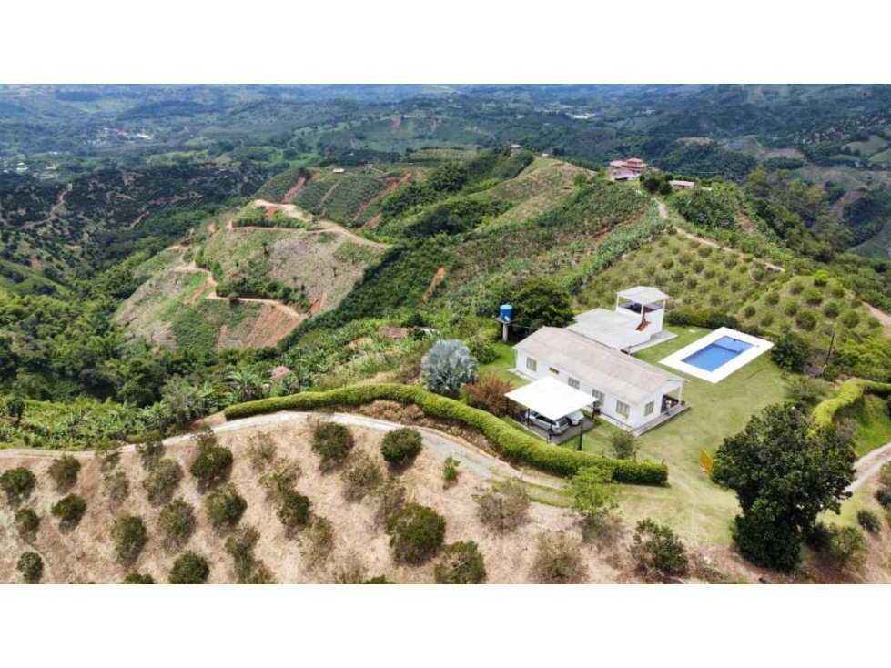 Venta Finca Productora Palestina Caldas