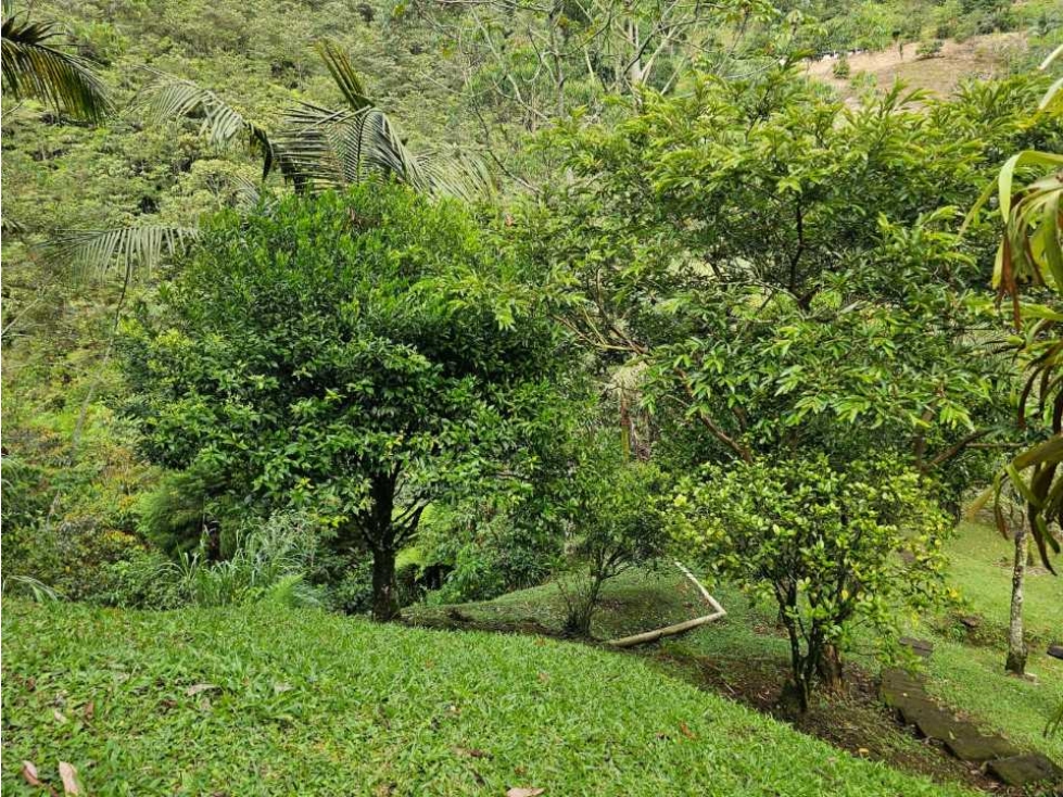 Venta hermosa finca en Sabaneta, Antioquia