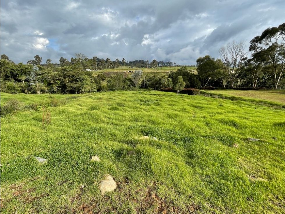 Venta lote - Sector Alto de Las Palmas