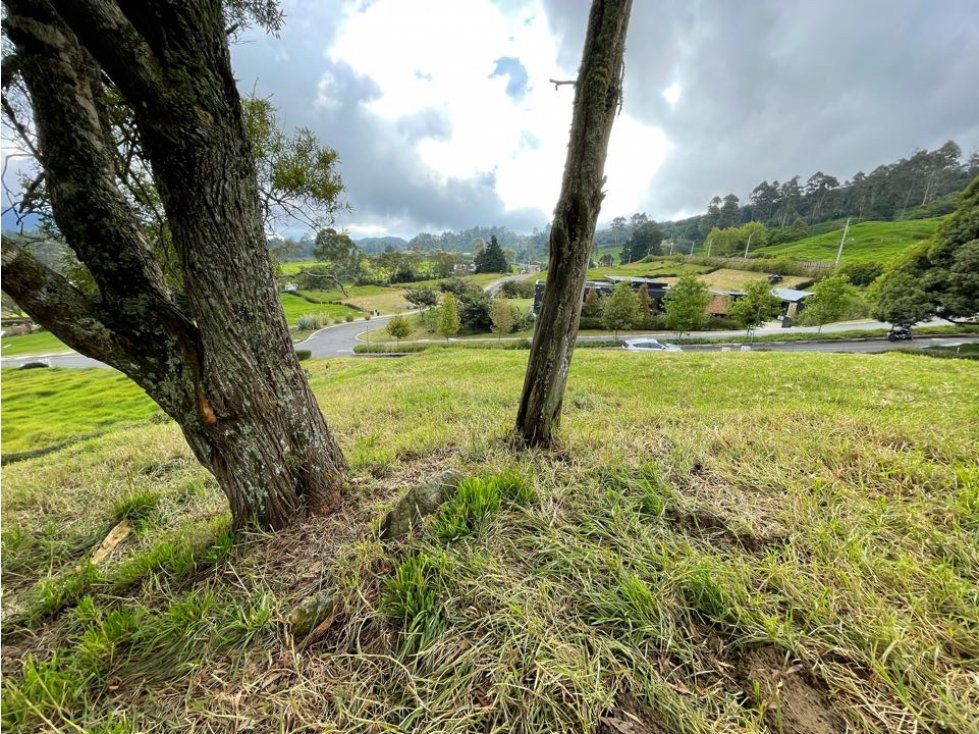 Venta lote - Sector Alto de las Palmas