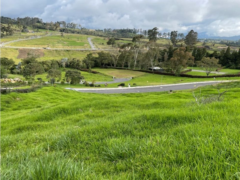 Venta lote - Sector Alto de las Palmas