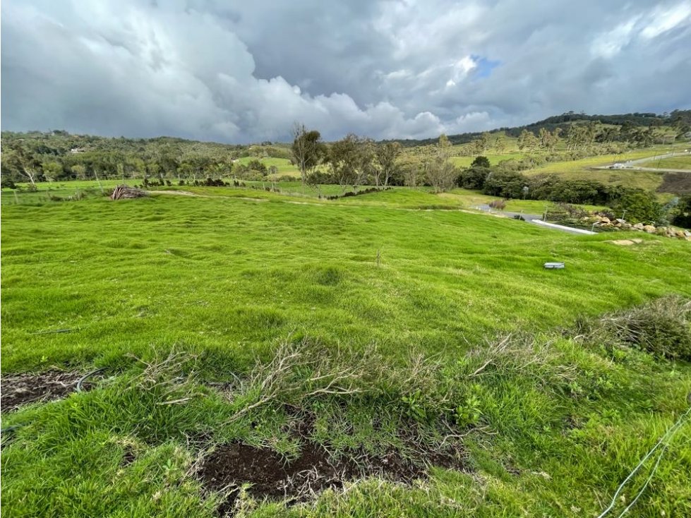 Venta lote - Sector Alto de las Palmas