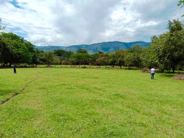 Venta de Lotes A 3 Minutos Del Carmen De Apicala