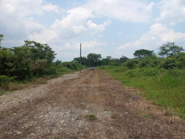 VENTA O PERMUTA DE 3 LOTES CUMARAL META