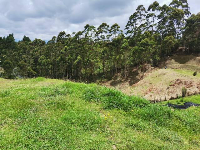 VENDO LOTES EN SAN VICENTE ANTIOQUIA,DIRECTAMENTE ESCRITURAS 100% DE INMEDIATO