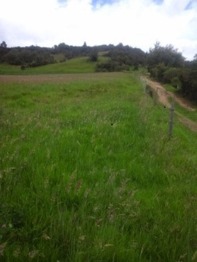 Venta de lote - Vereda Santa Barbara - Cerca a Termales - Guasca -
