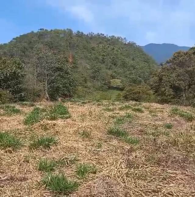 Venta de Predio via Villacarmelo a media hora de Cali